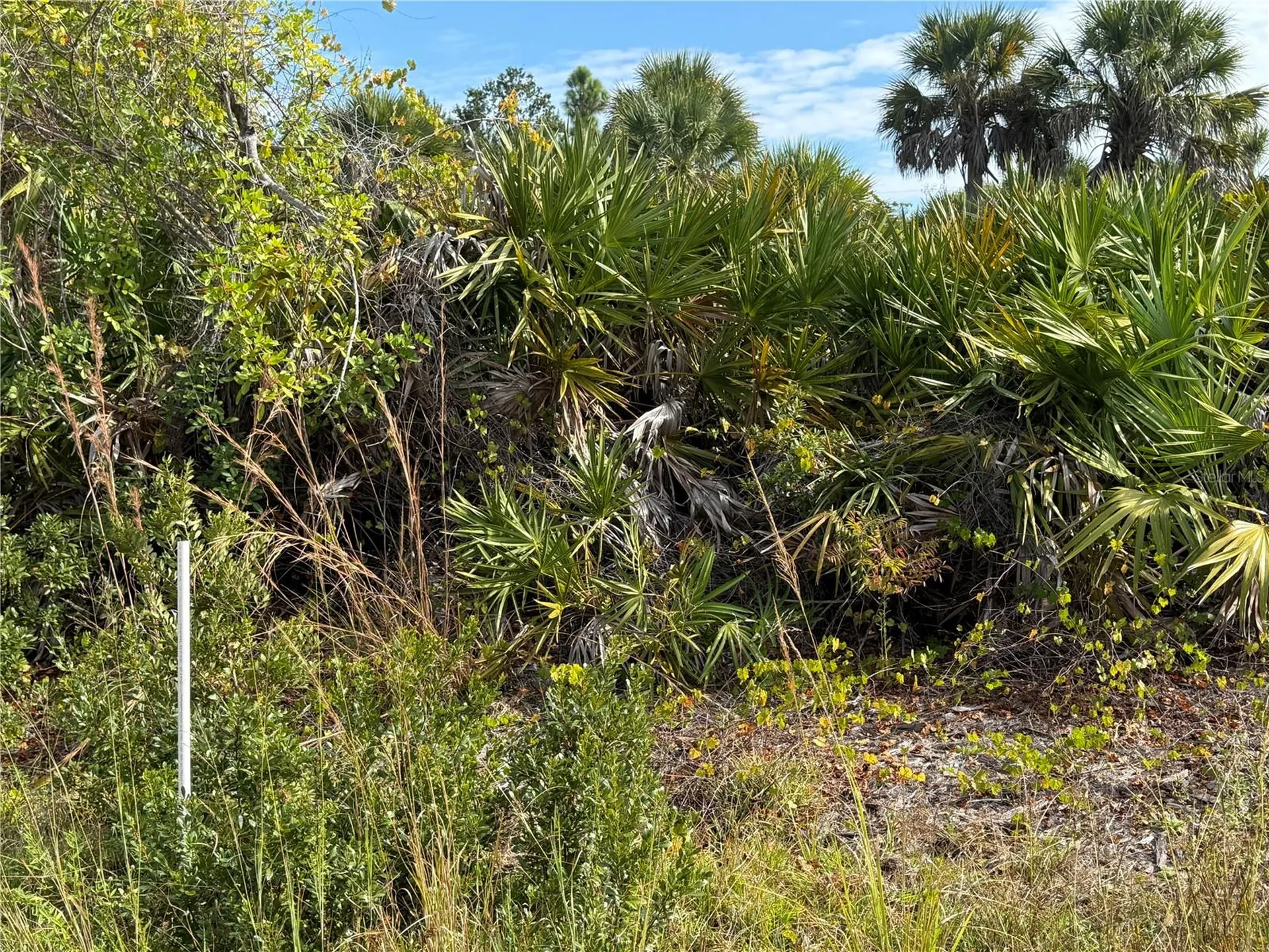 7098 Princeton Street Port Charlotte FL 33981