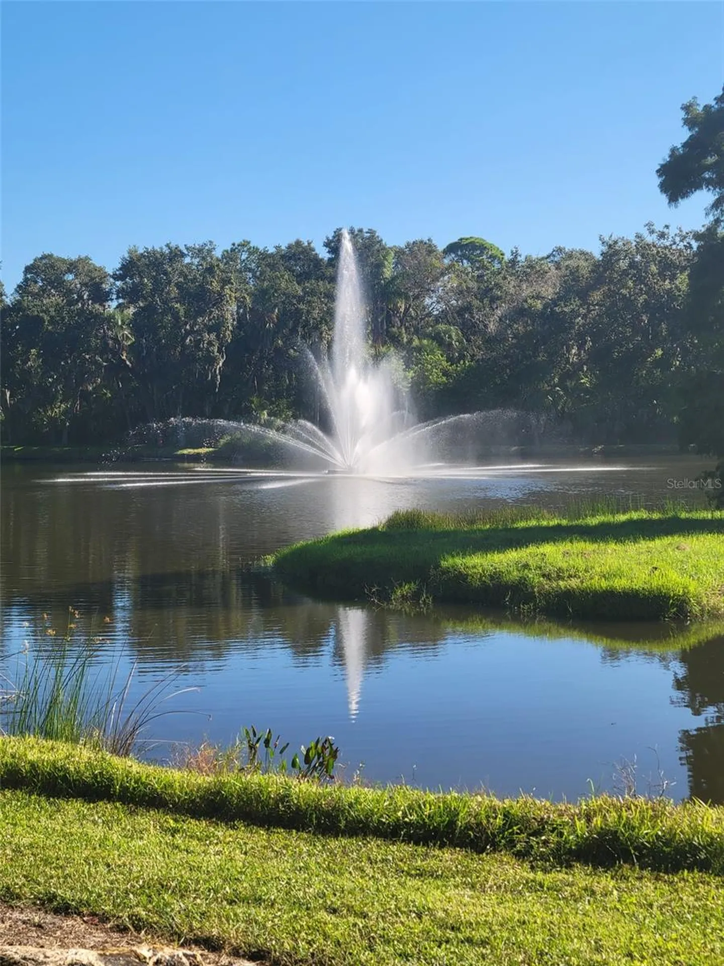 3097 Willow Green Sarasota FL 34235