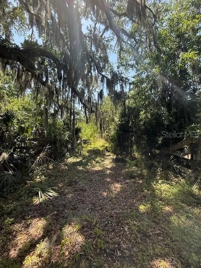 17918 NE Us Highway 301 Waldo FL 32694