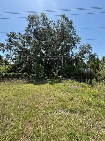 17918 NE Us Highway 301 Waldo FL 32694