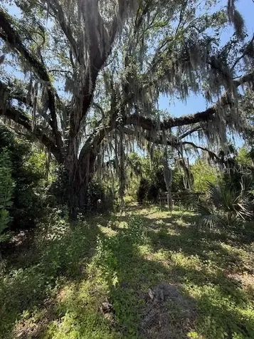 17918 NE Us Highway 301 Waldo FL 32694