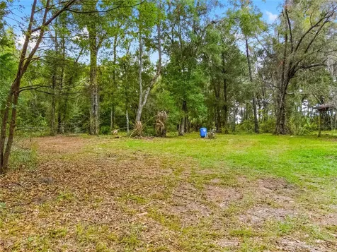 20614 NW 10th Place Newberry FL 32669