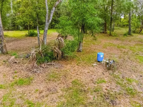 20614 NW 10th Place Newberry FL 32669