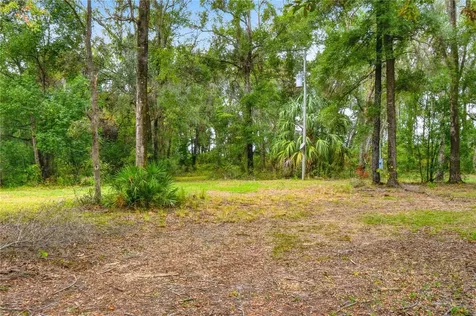 20614 NW 10th Place Newberry FL 32669