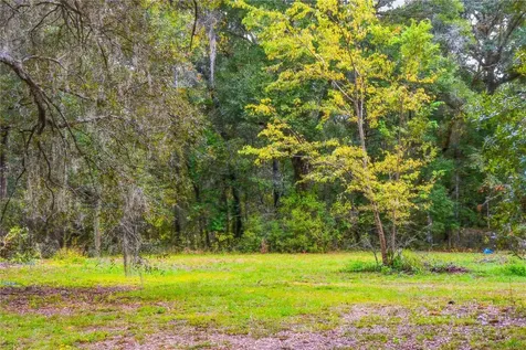 20614 NW 10th Place Newberry FL 32669