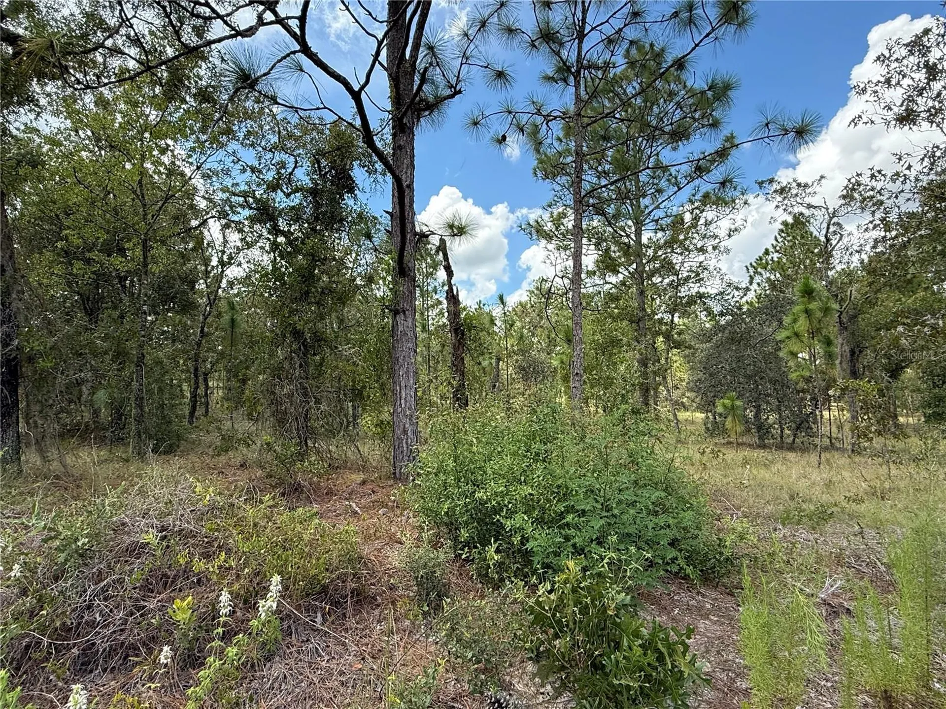 Deer Park Heights SW Dunnellon FL 34431