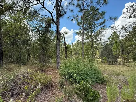 Deer Park Heights SW Dunnellon FL 34431
