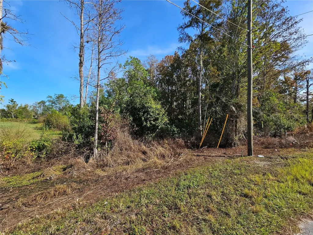 Luna Drive St Cloud FL 34773
