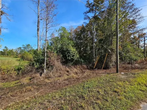 Luna Drive St Cloud FL 34773