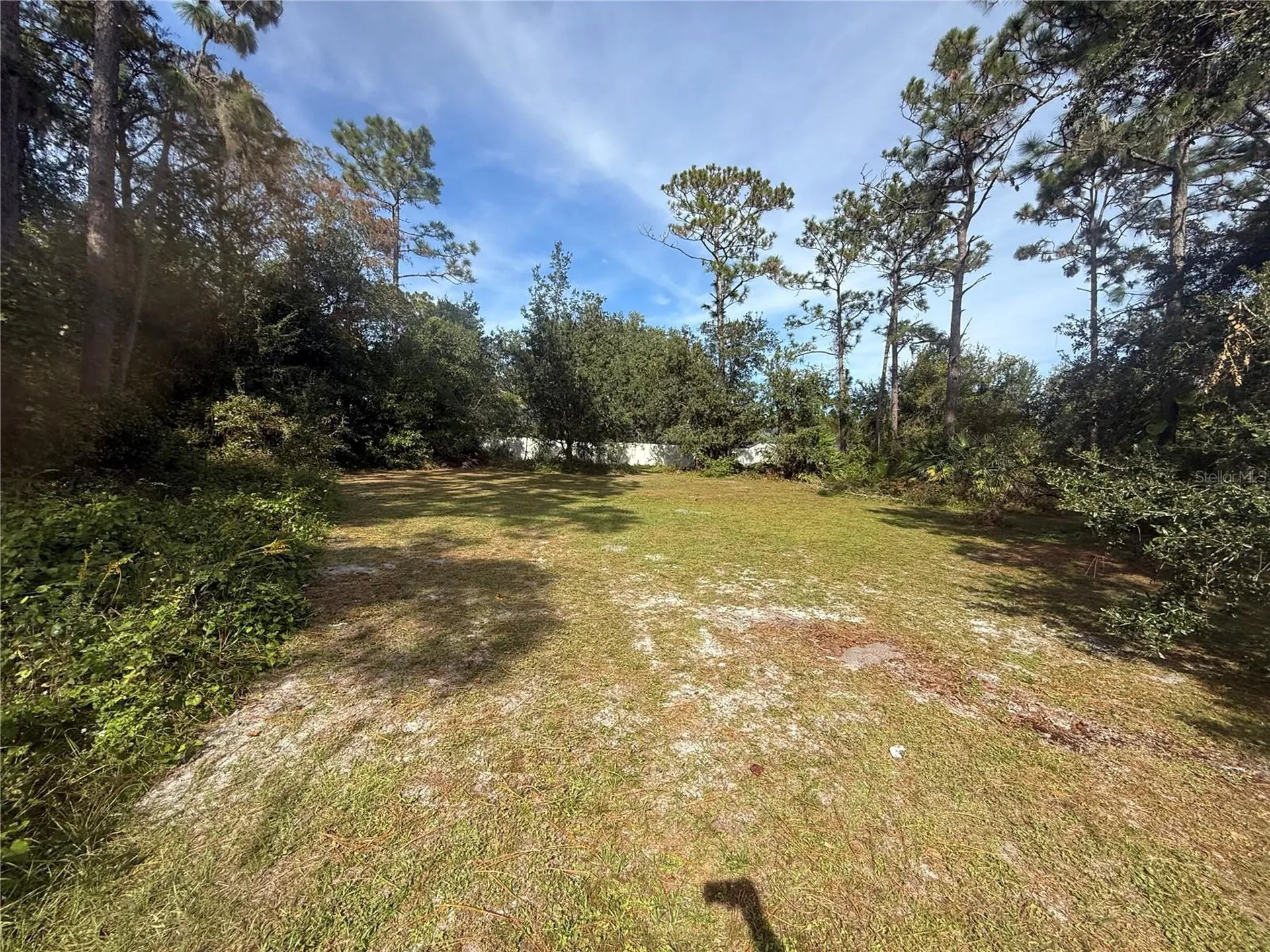 19509 Sheldon Street Orlando FL 32833