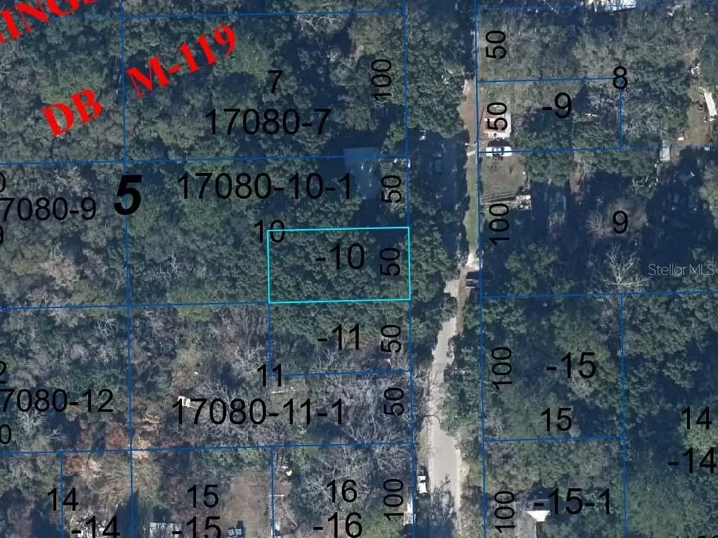 NE 141st Street Waldo FL 32694