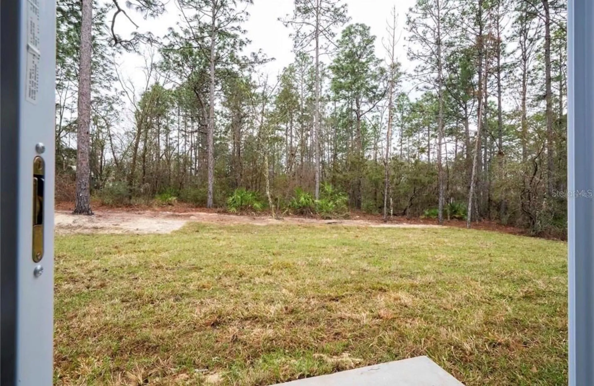 3812 W Eunice Drive Citrus Springs FL 34433
