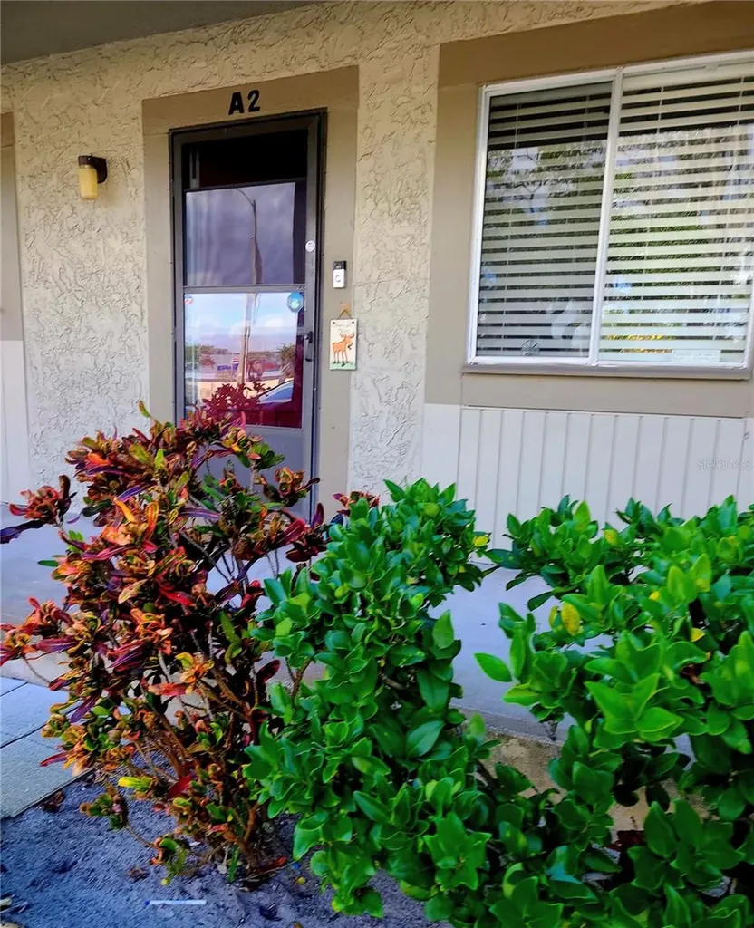 6328 Newtown Circle Tampa FL 33615