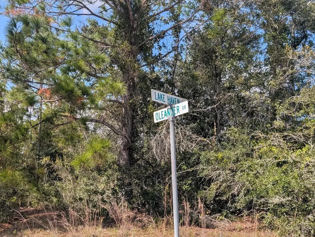 Oleander Drive Indian Lake Estates FL 33855