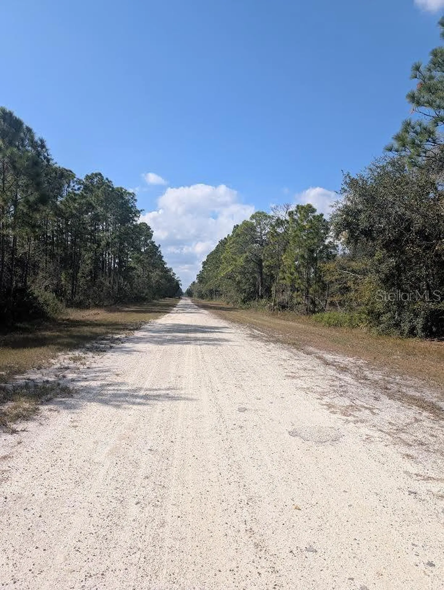 Oleander Drive Indian Lake Estates FL 33855