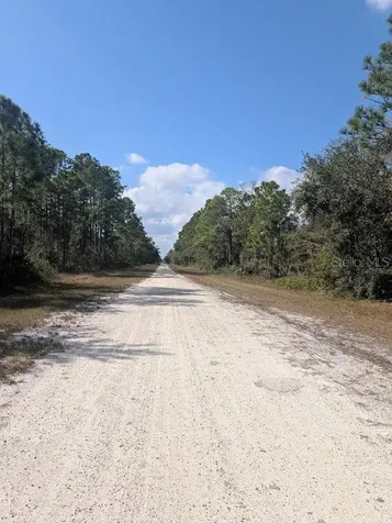 Oleander Drive Indian Lake Estates FL 33855