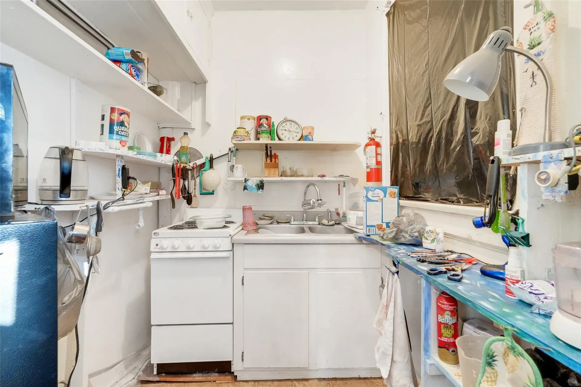 225 N Sans Souci Avenue Deland FL 32720