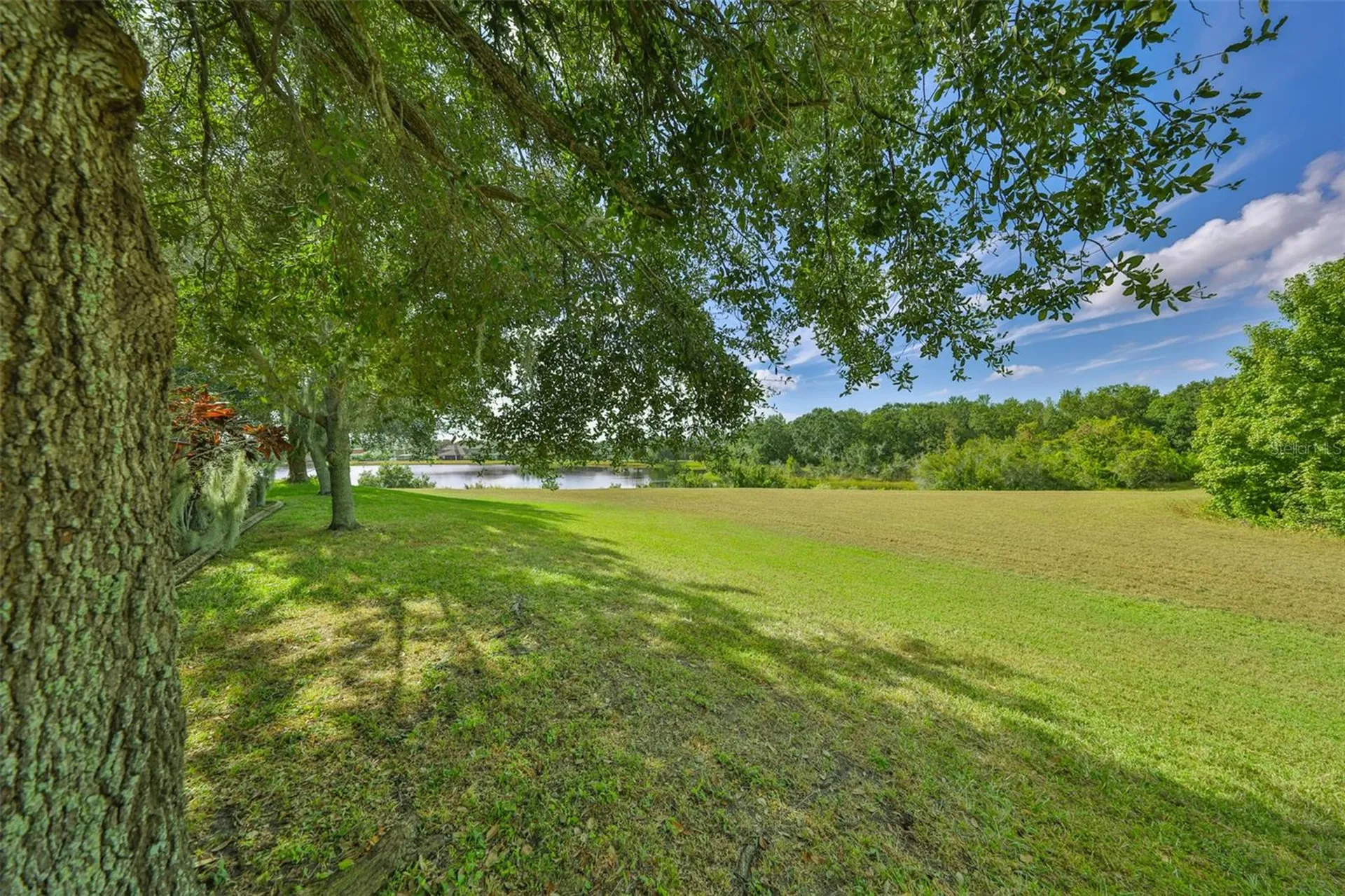 13914 Chalk Hill Place Riverview FL 33579
