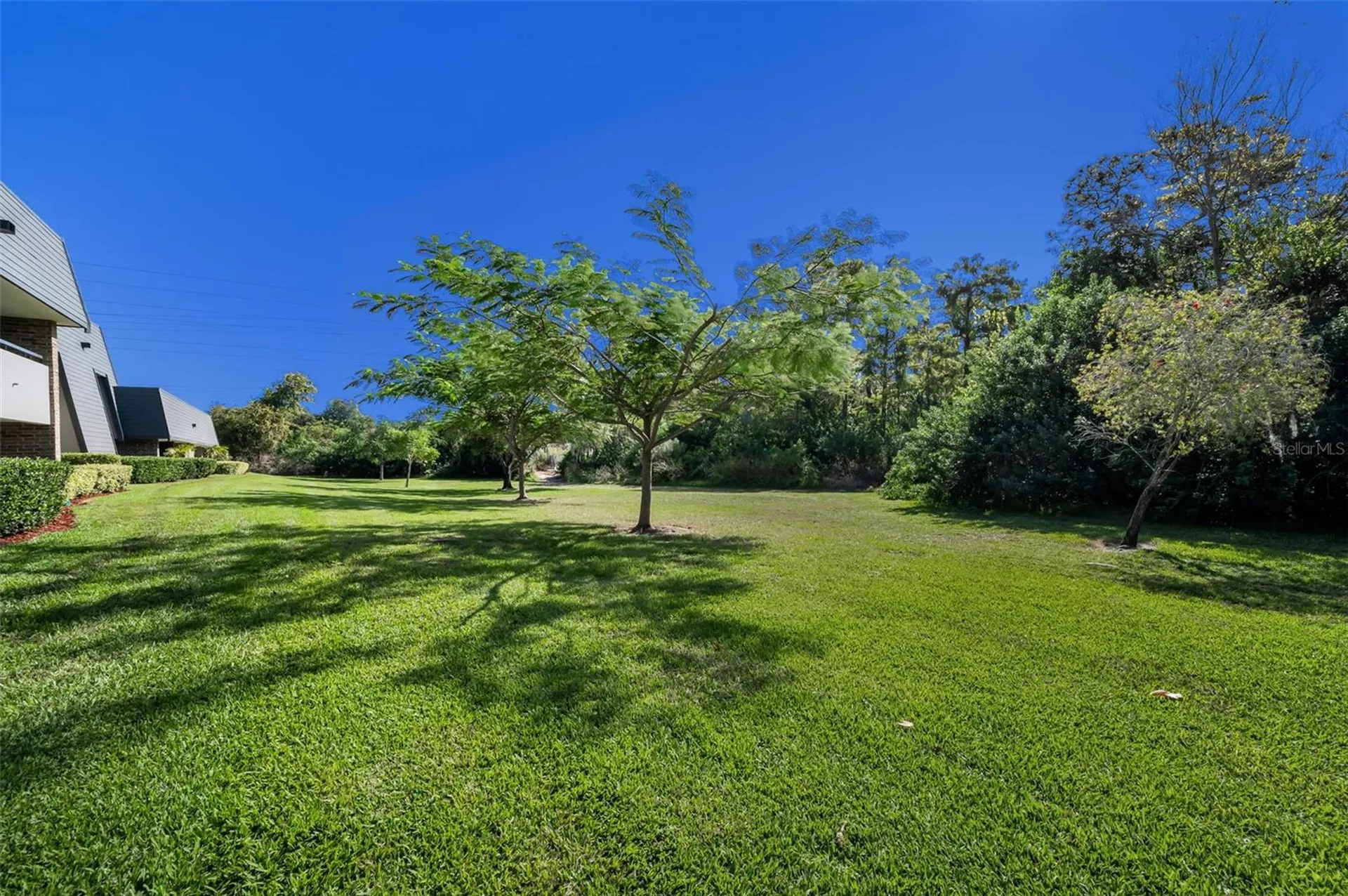 36750 Us Highway 19 N Palm Harbor FL 34684