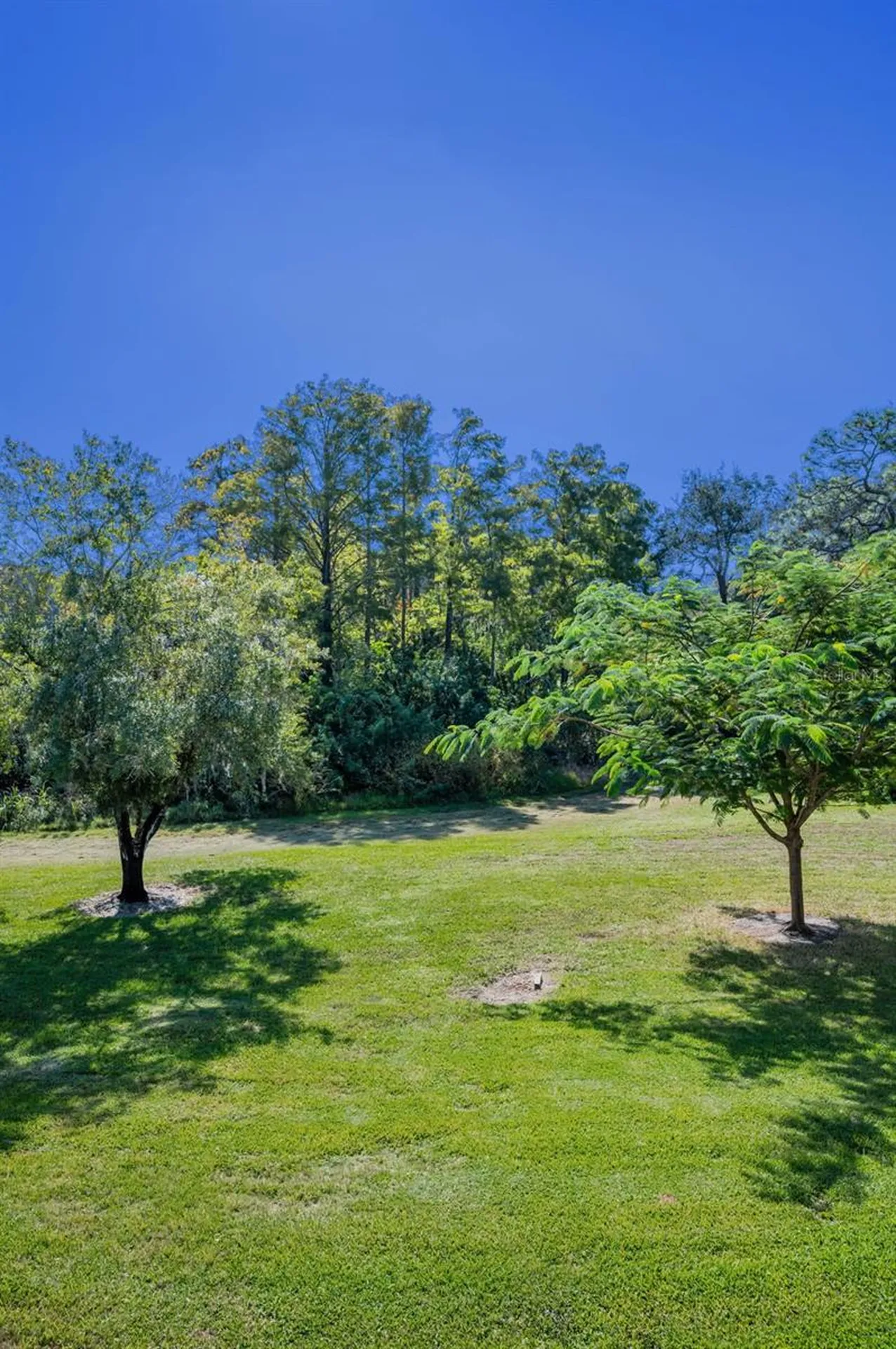 36750 Us Highway 19 N Palm Harbor FL 34684