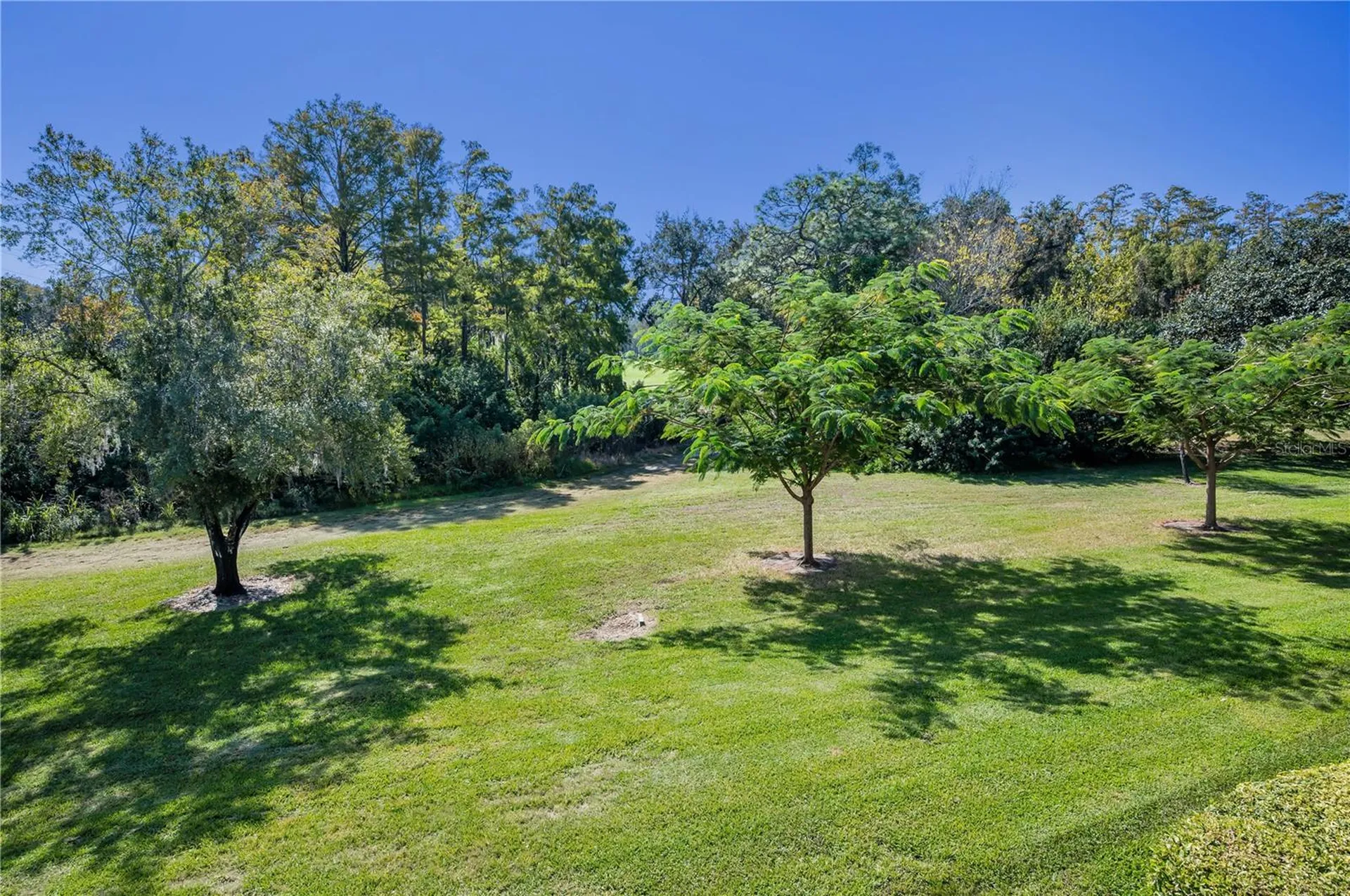 36750 Us Highway 19 N Palm Harbor FL 34684