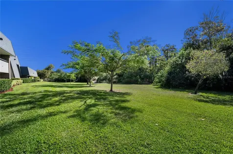 36750 Us Highway 19 N Palm Harbor FL 34684