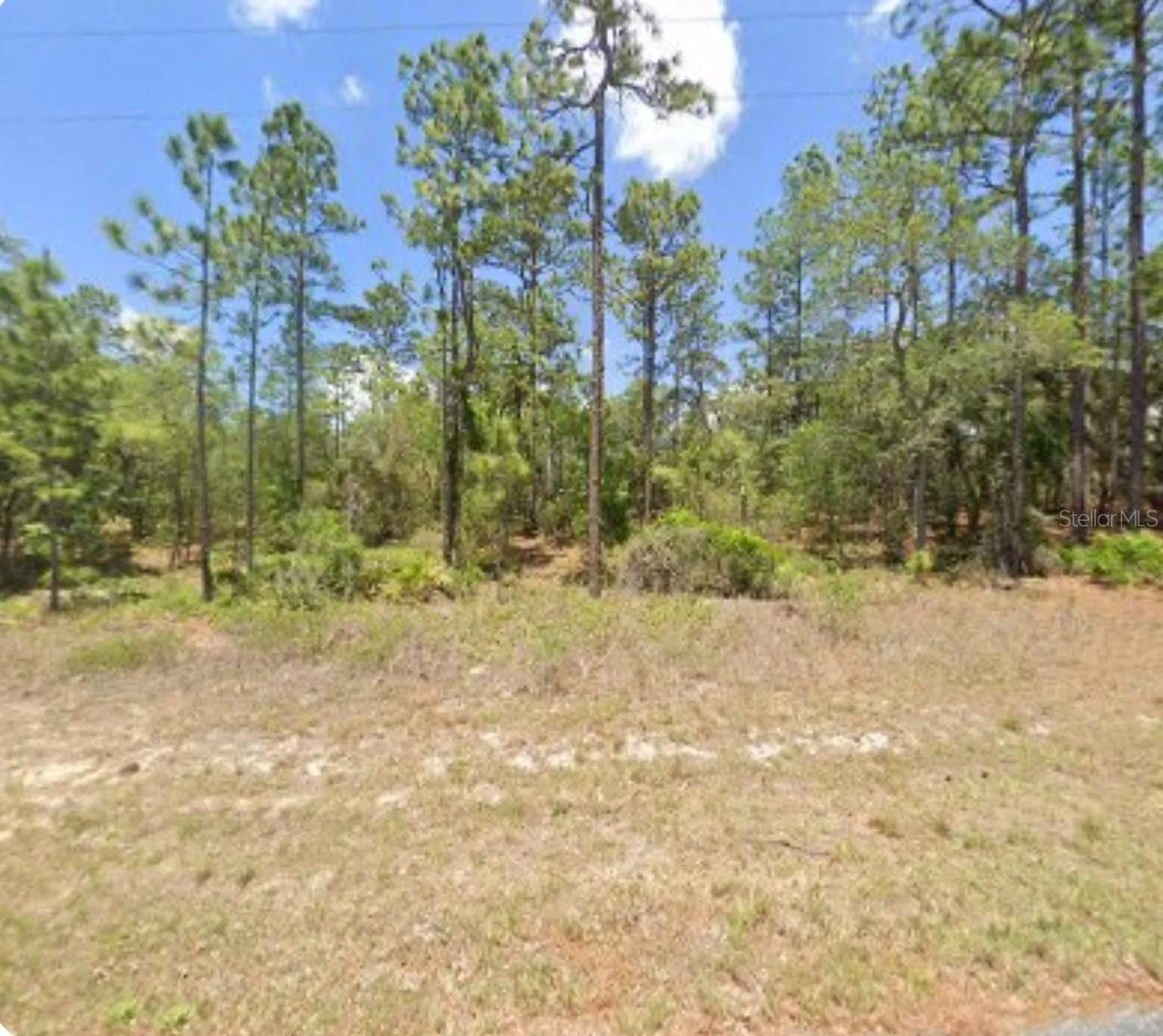 3271 W Montgomery Lane Citrus Springs FL 34433
