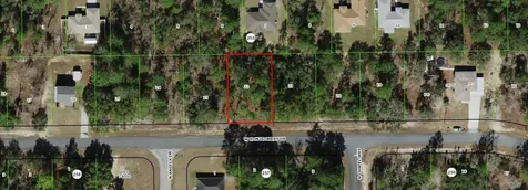 3271 W Montgomery Lane Citrus Springs FL 34433