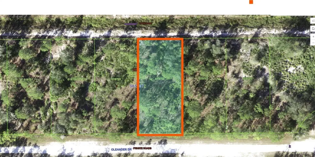 Oleander Drive Indian Lake Estates FL 33855