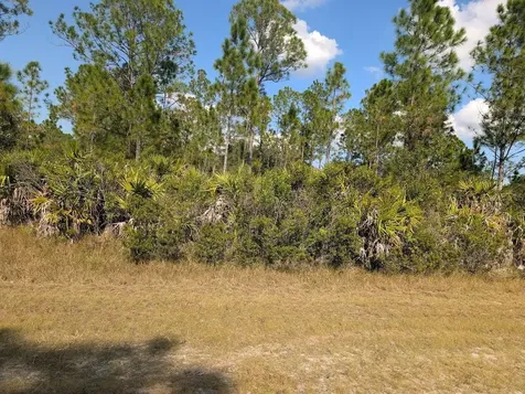 Oleander Drive Indian Lake Estates FL 33855