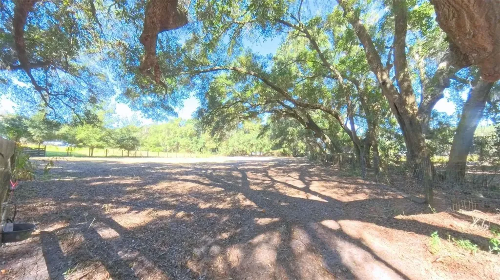4540 W Highway 318 Citra FL 32113