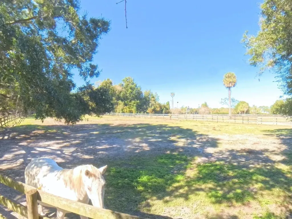 4540 W Highway 318 Citra FL 32113