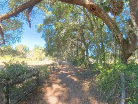 4540 W Highway 318 Citra FL 32113
