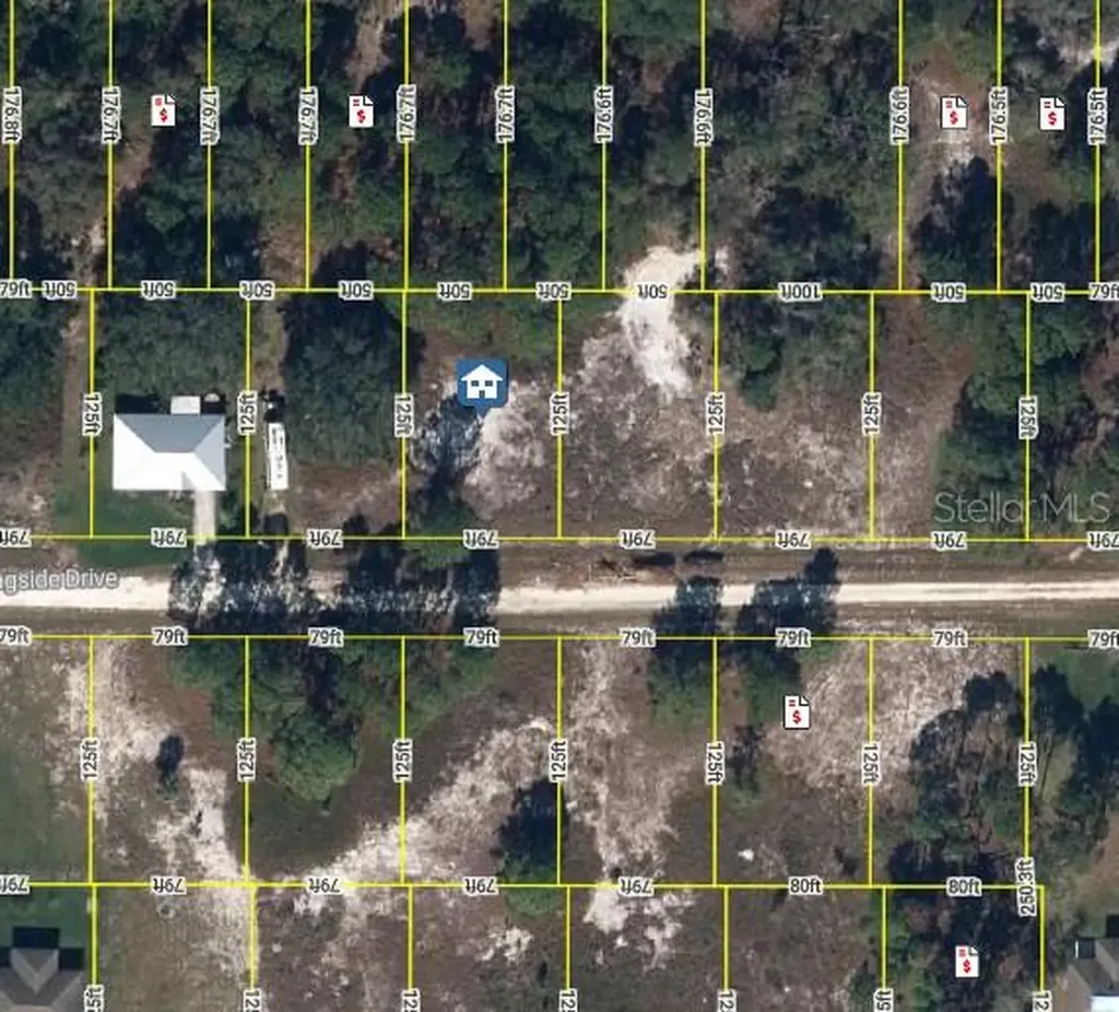 346 Morningside Drive Lake Placid FL 33852