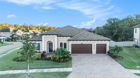 28726 Picana Lane Wesley Chapel FL 33543