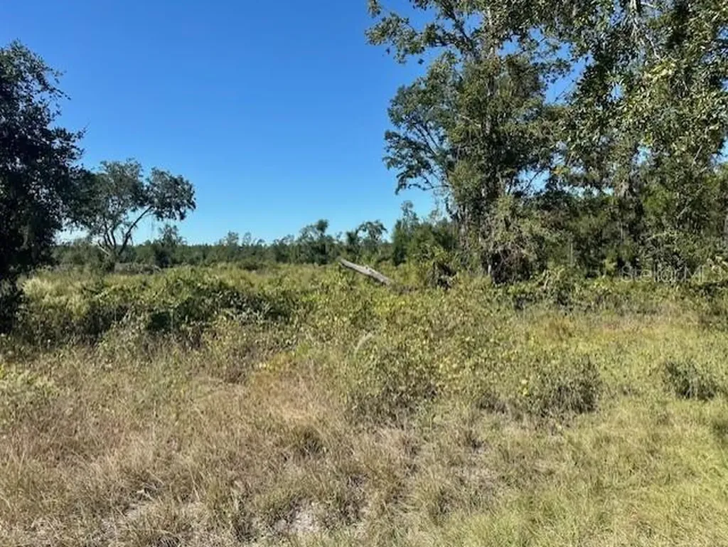 NE 35th Avenue Bronson FL 32621