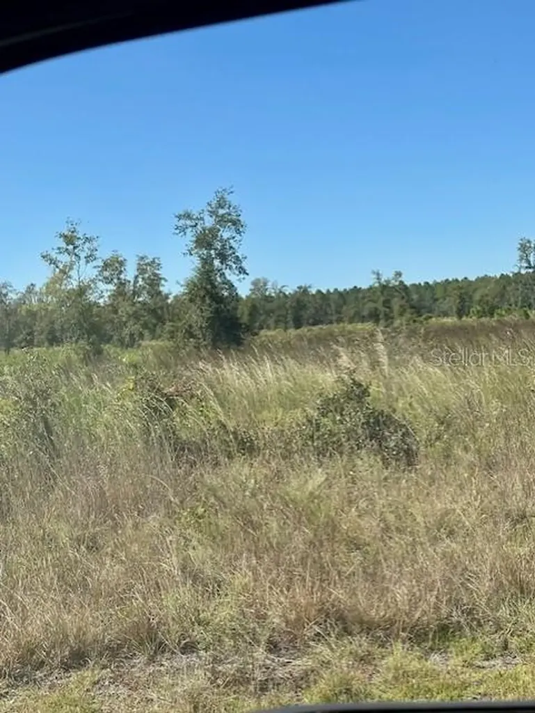 NE 35th Avenue Bronson FL 32621