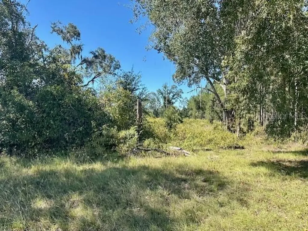 NE 35th Avenue Bronson FL 32621