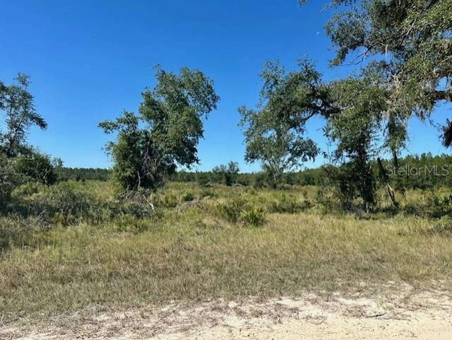 NE 35th Avenue Bronson FL 32621