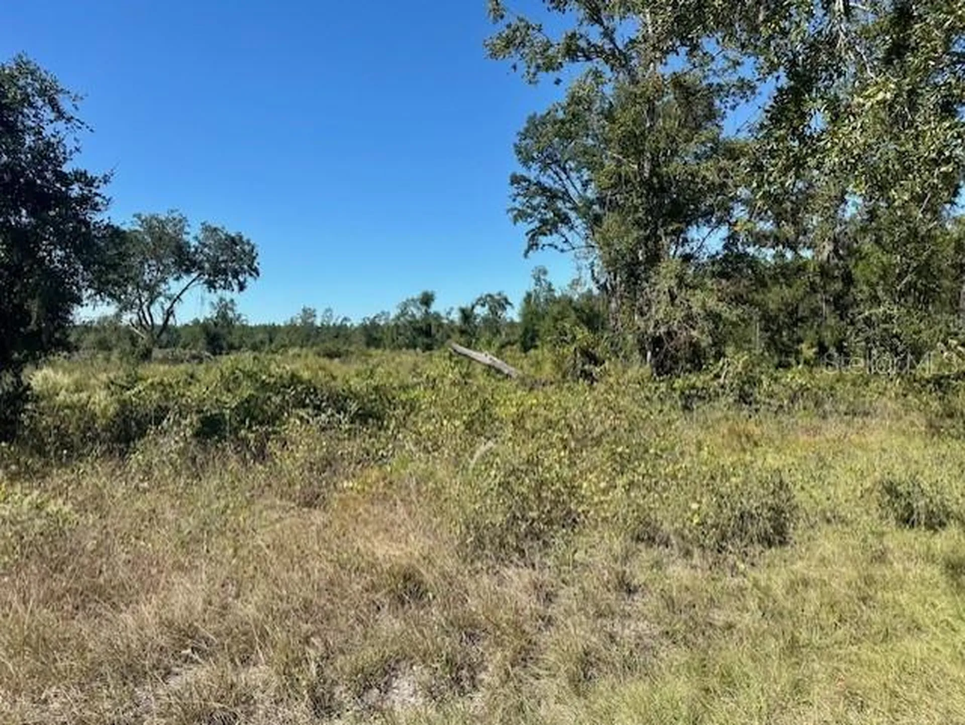 NE 35th Avenue Bronson FL 32621