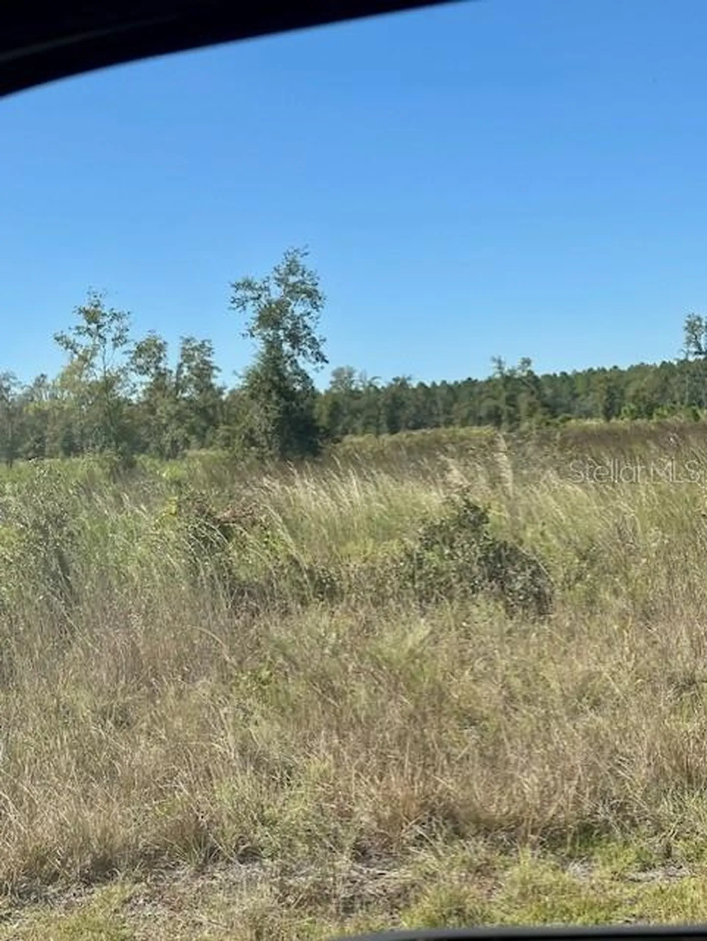 NE 35th Avenue Bronson FL 32621