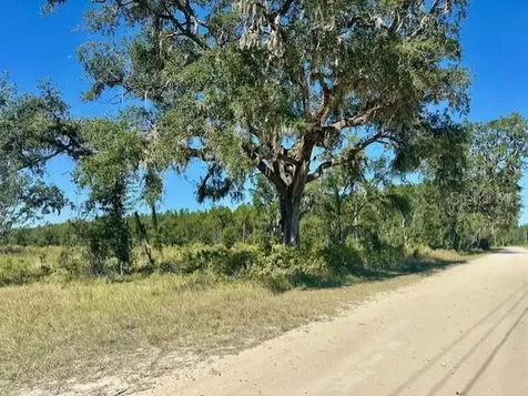 NE 35th Avenue Bronson FL 32621