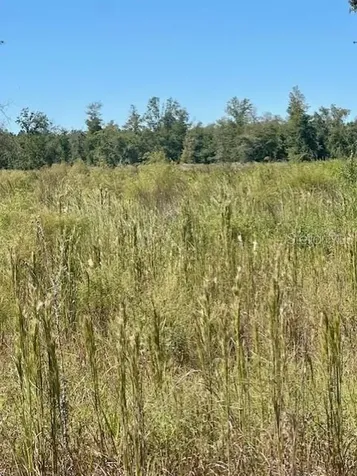 NE 35th Avenue Bronson FL 32621