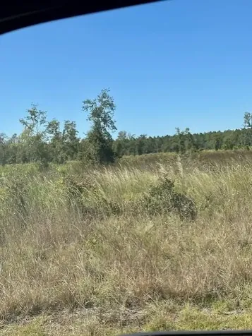 NE 35th Avenue Bronson FL 32621
