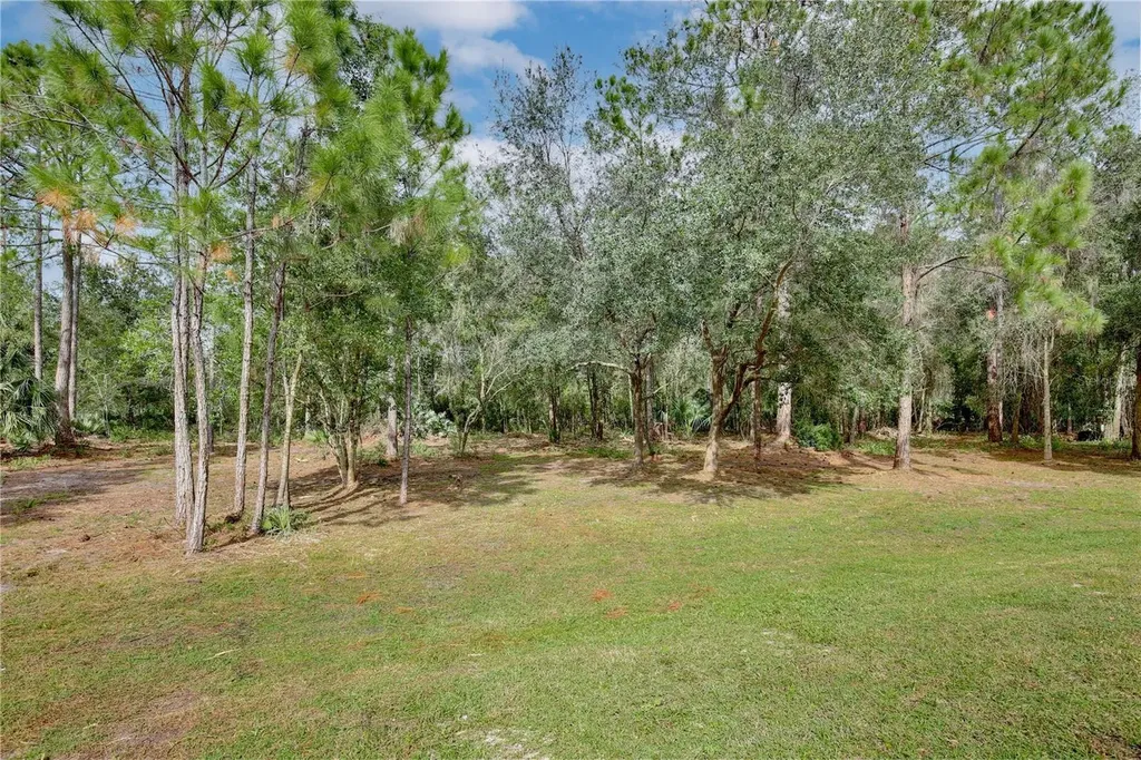 1255 Flint Trail Geneva FL 32732