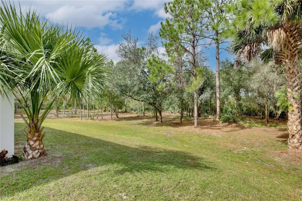 1255 Flint Trail Geneva FL 32732