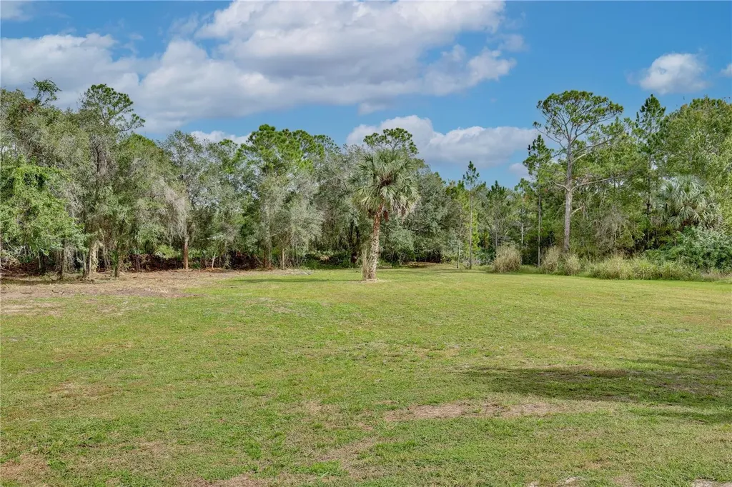 1255 Flint Trail Geneva FL 32732