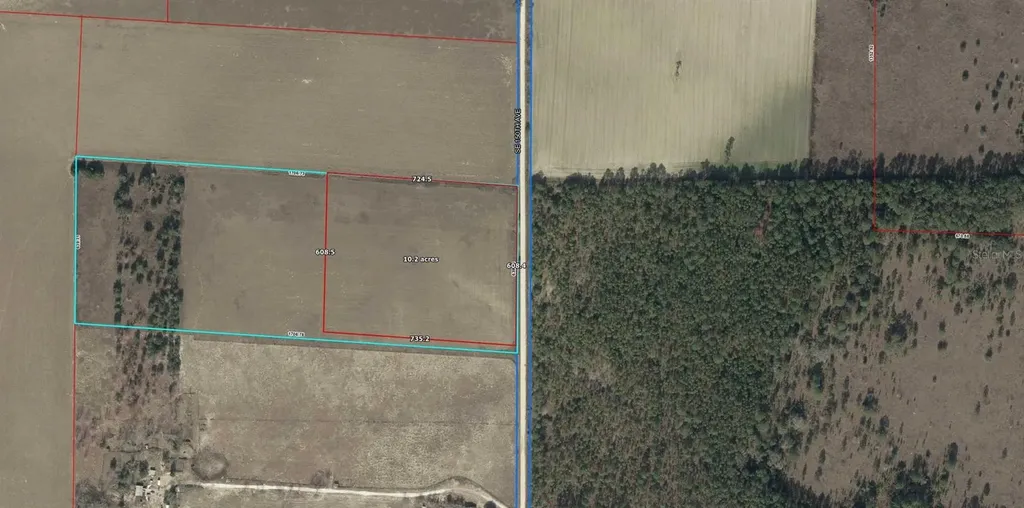 Tbd SE 150th Avenue Morriston FL 32668