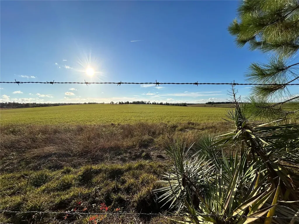 Tbd SE 150th Avenue Morriston FL 32668