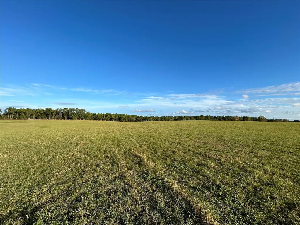 Tbd SE 150th Avenue Morriston FL 32668